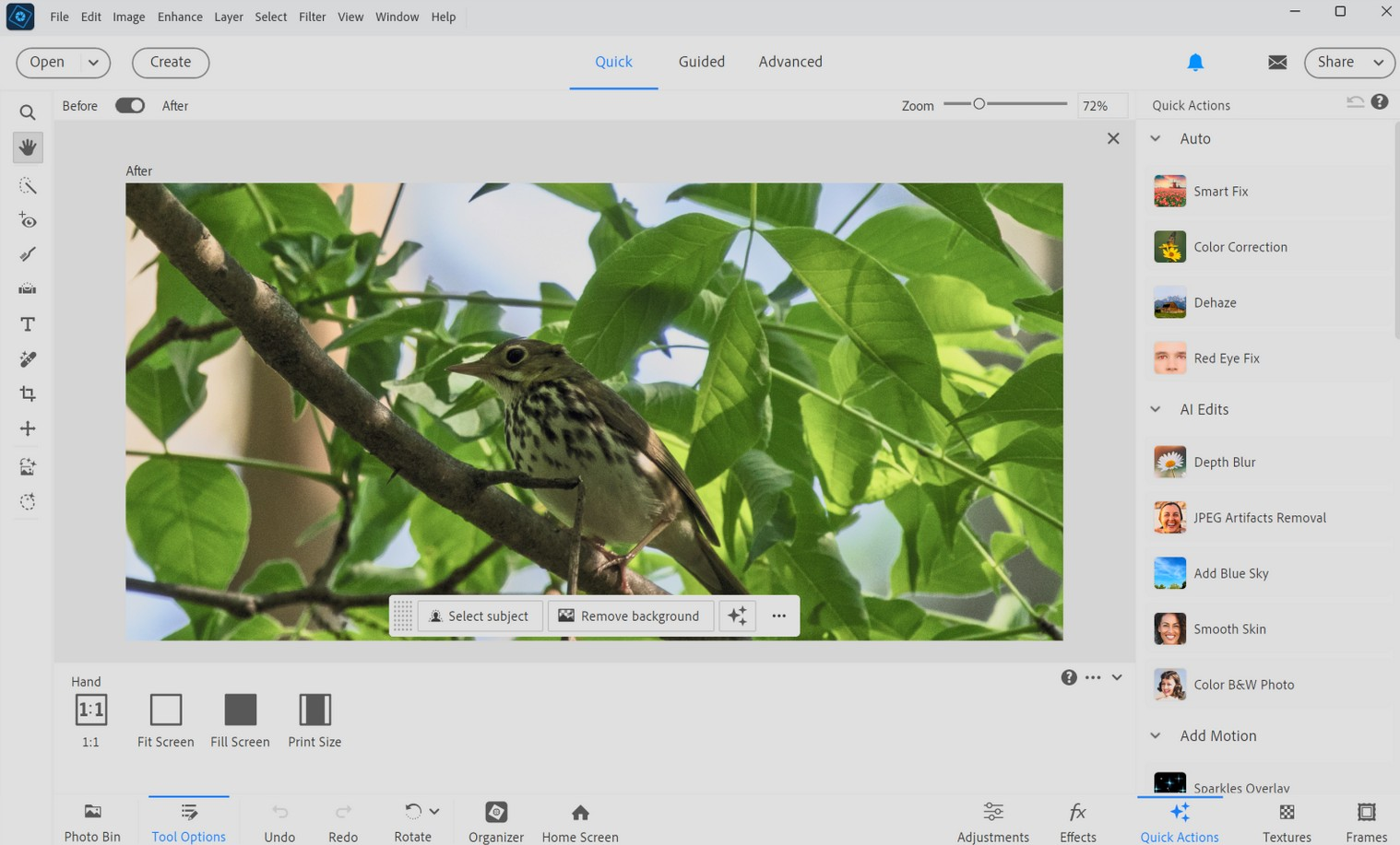 Screenshot von Adobe Photoshop Elements