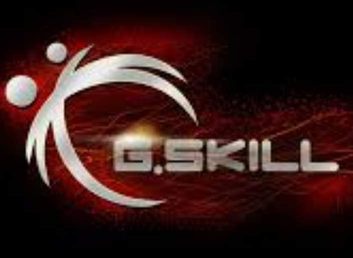 Gskill Themes Icon