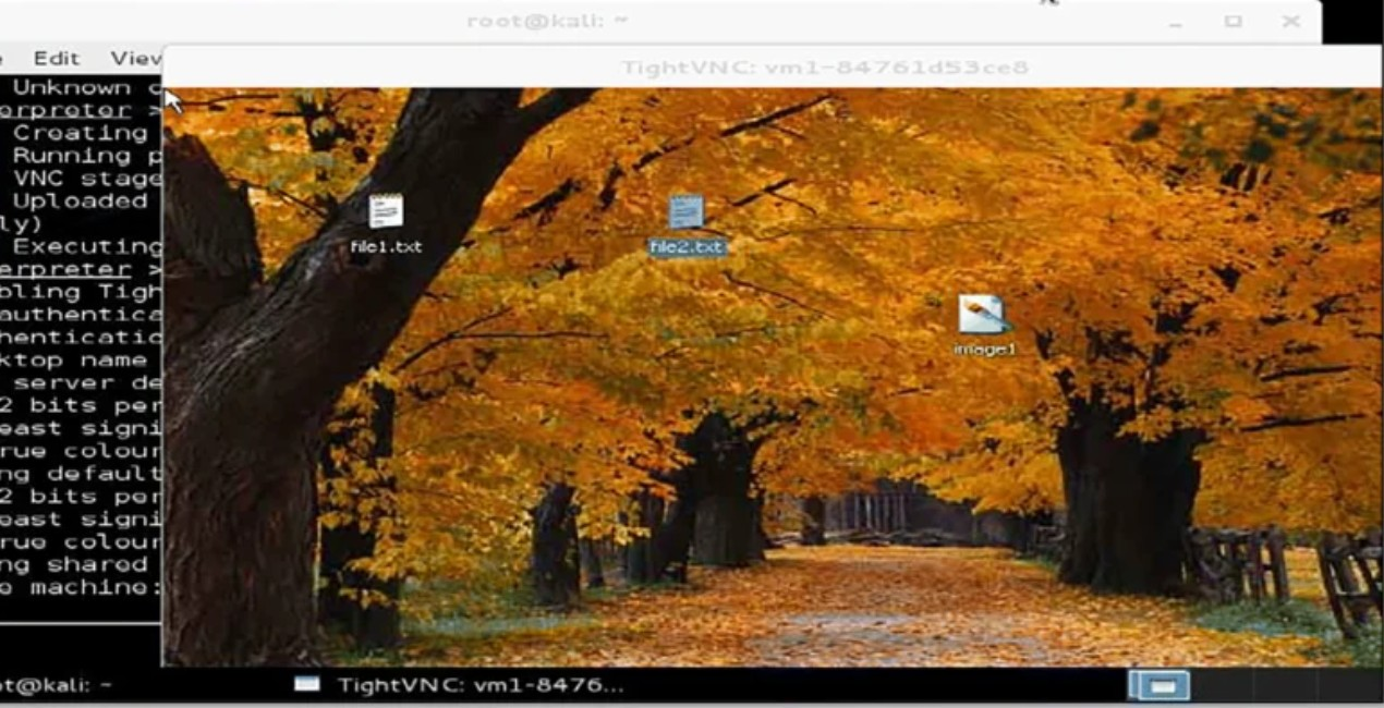 Screenshot von TightVNC