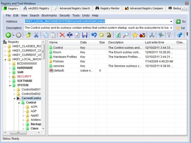 Screenshot von Registry Manager